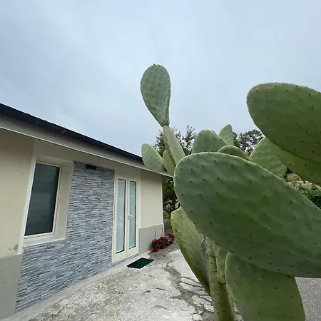 La Petite Maison Appartamento